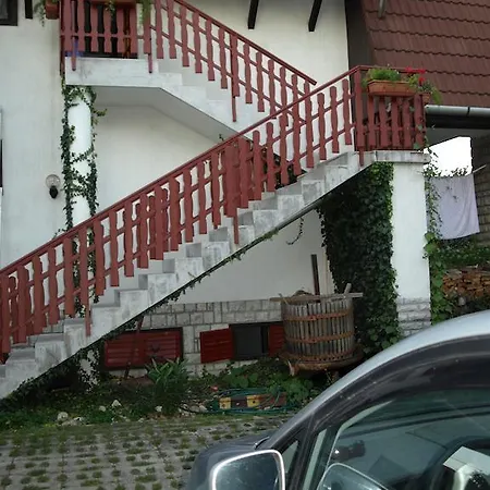 Füvesi